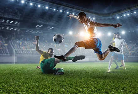 Dreamfox sportswear Co,.ltd was founded in 2015 and is located