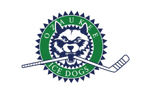 hockey jersey