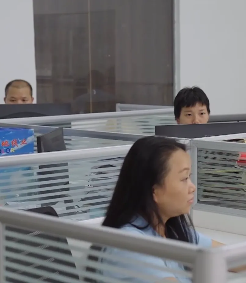 Development capabilities